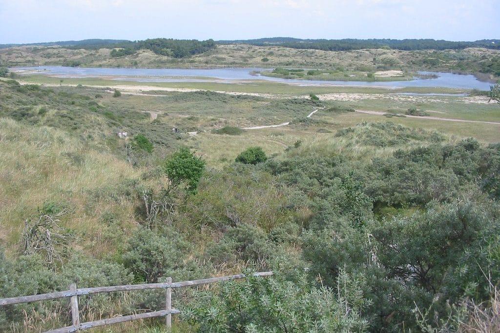 IMG_7205-e1562249688145