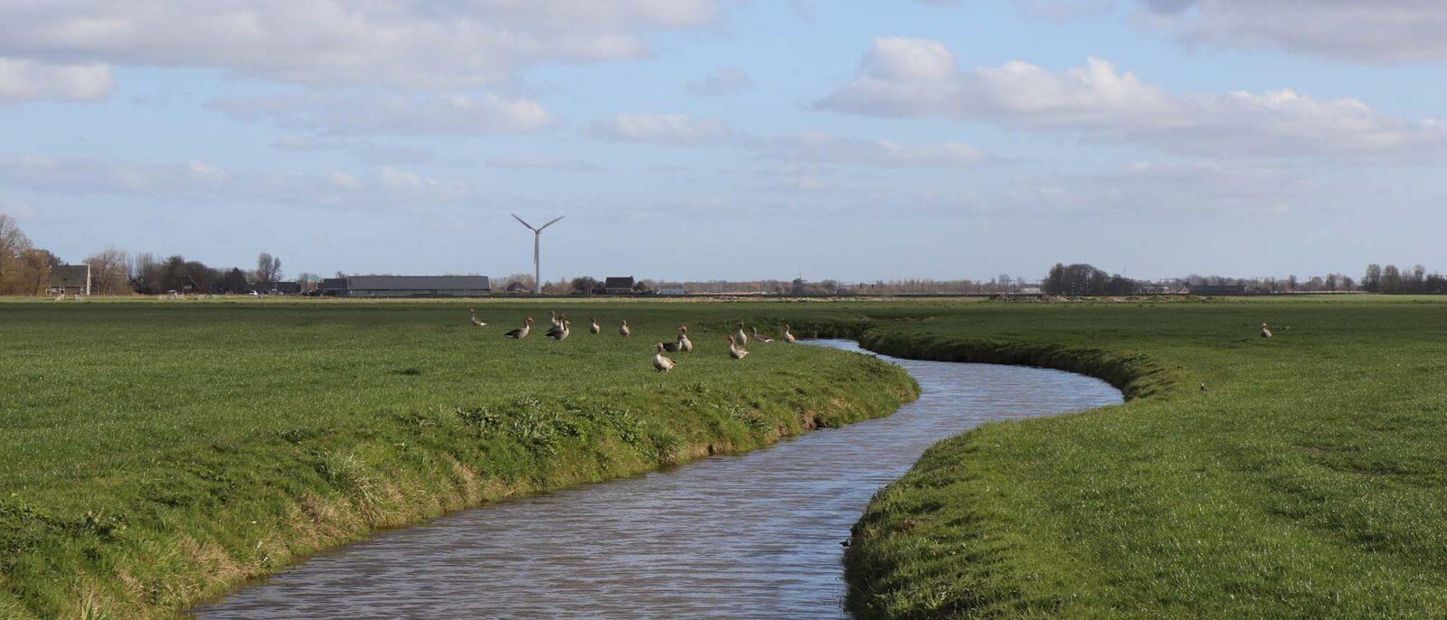 Netwerk voor nieuwe erfgoedprofessionals Het interieur van IKC De Molenwiek in maart 2019