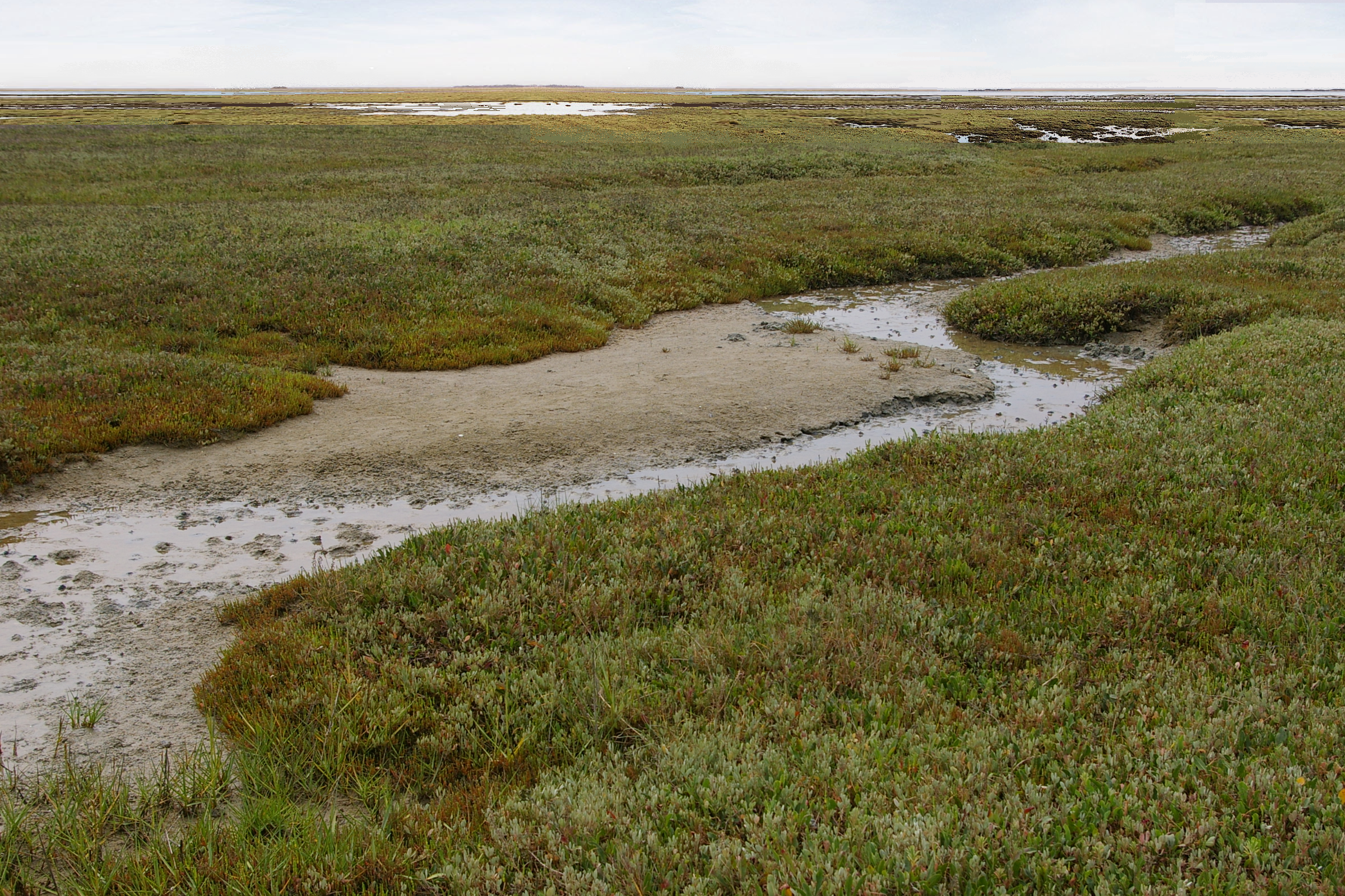 F-Kwelderlandschap_RvEerden